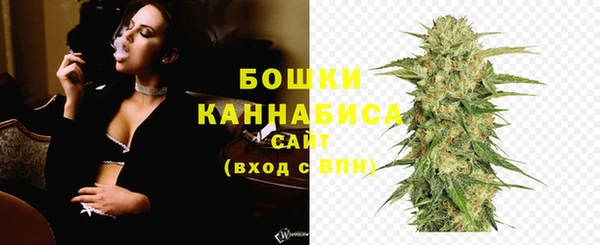 шишки Аркадак