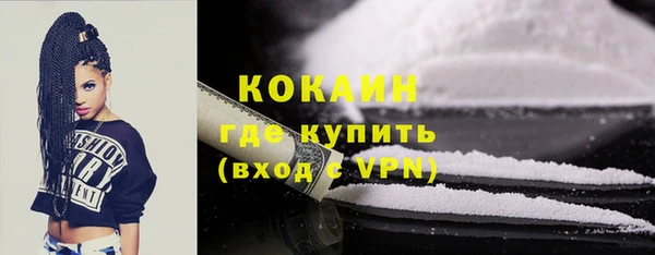 шишки Аркадак