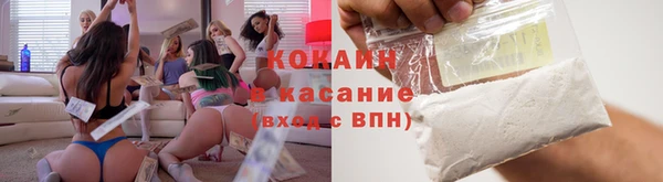 шишки Аркадак