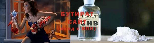 шишки Аркадак