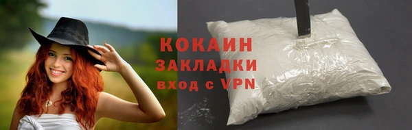 тгк Арсеньев