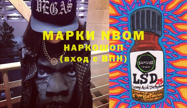 шишки Аркадак
