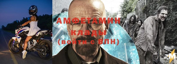 шишки Аркадак