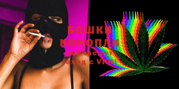 шишки Аркадак