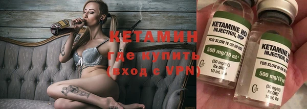 шишки Аркадак